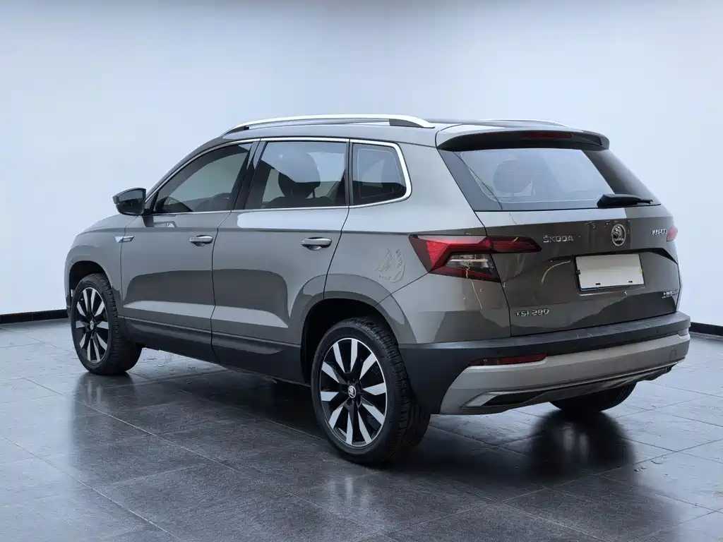 Skoda Karoq 2018 — фото 6