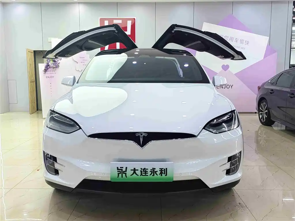 Tesla Model X 2020 — фото 2