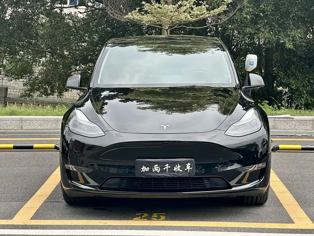 Tesla Model Y 2023 — фото 2