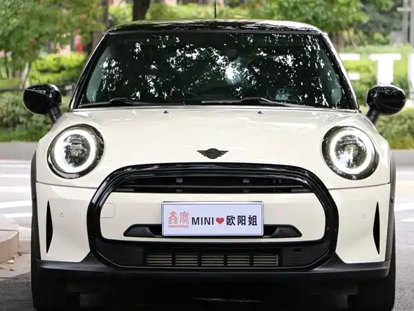MINI MINI 2022