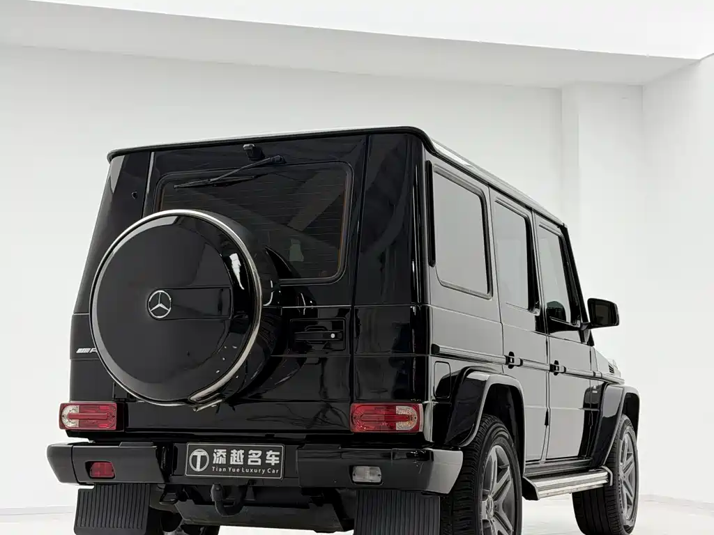 Mercedes-Benz G-Class 2018 — фото 14