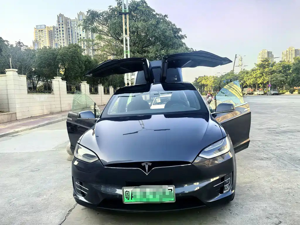 Tesla Model X 2020 — фото 15