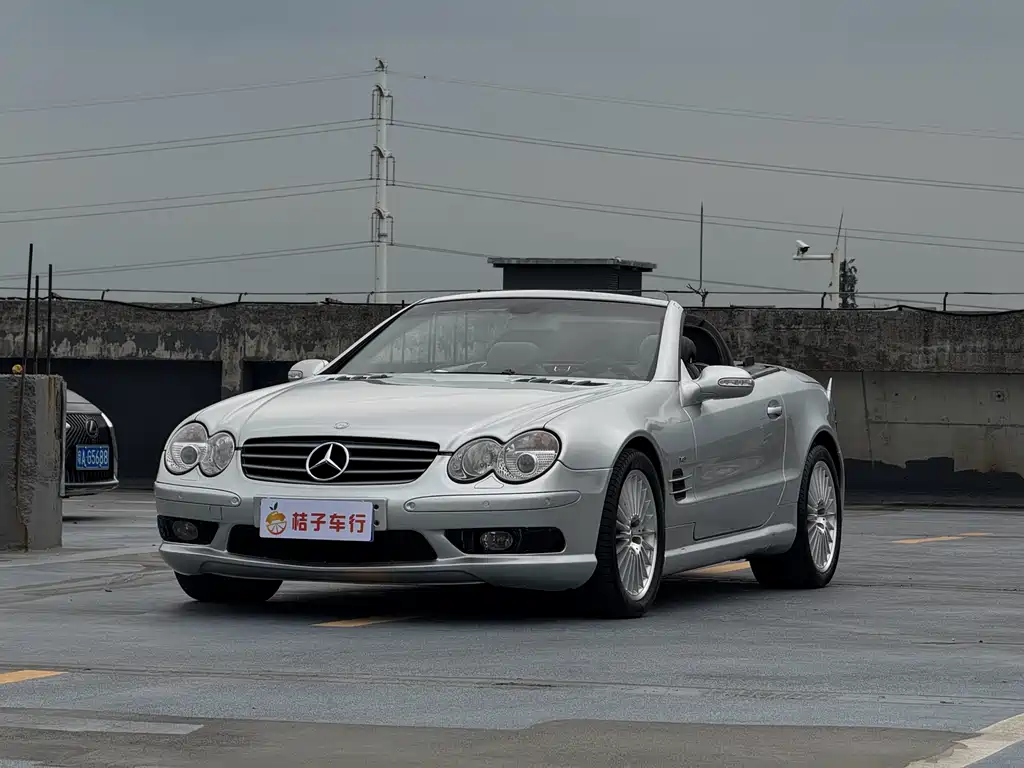 Mercedes-Benz SL-Class AMG 2004 — фото 4
