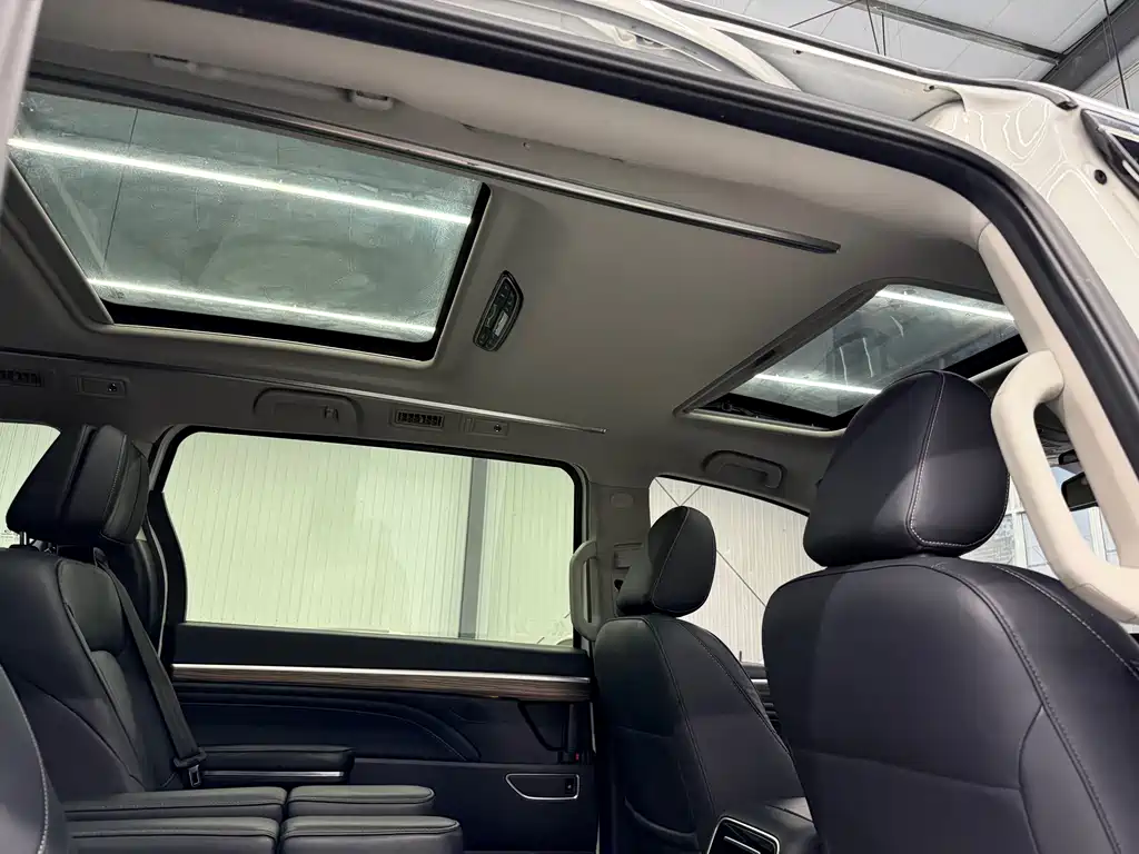 GAC Motor Trumpchi M8 2021 — фото 6