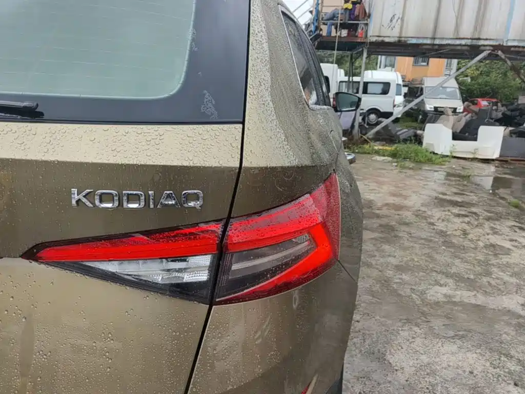Skoda Kodiaq 2017 — фото 8