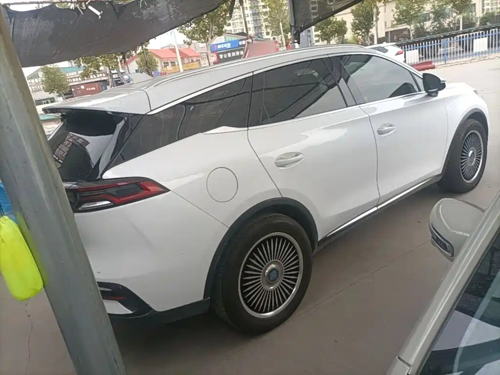 BYD Tang New Energy 2020 — фото 7