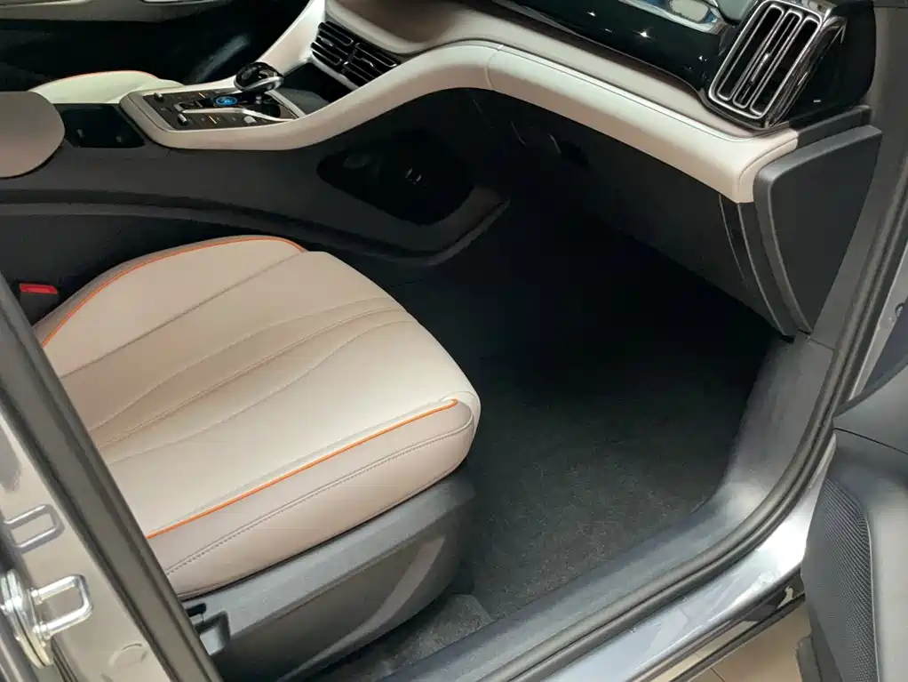 BYD Song Pro New Energy 2024 — фото 12