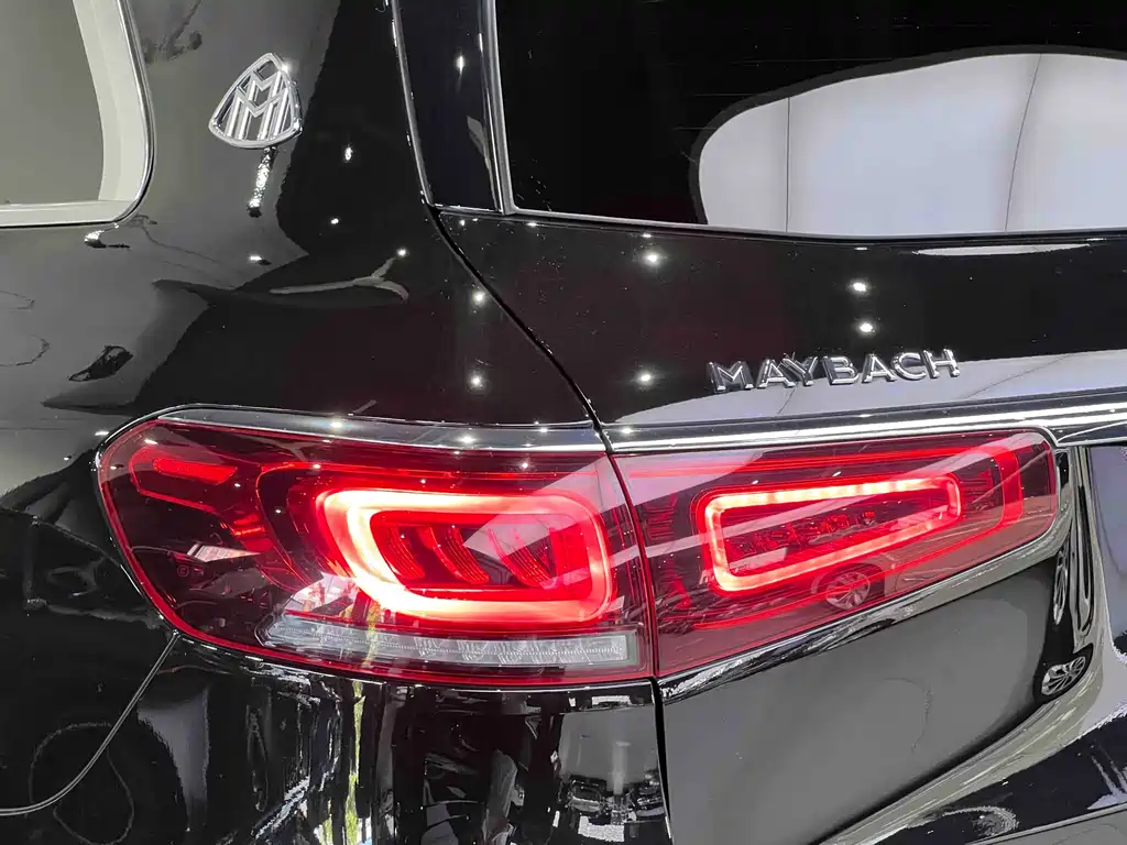 Mercedes-Benz Maybach GLS 2022 — фото 12