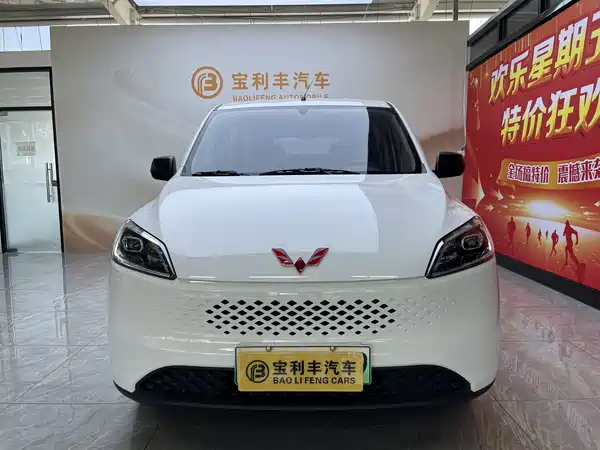 Wuling Hongguang New Energy 2025
