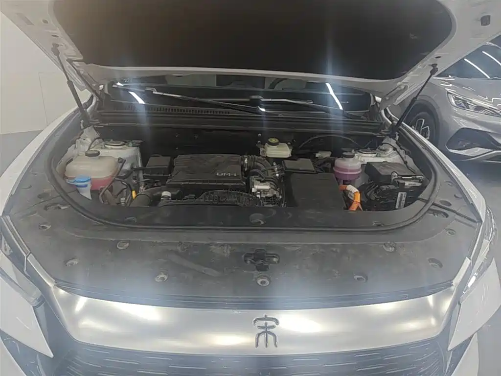 BYD Pro New Energy 2025 — фото 16
