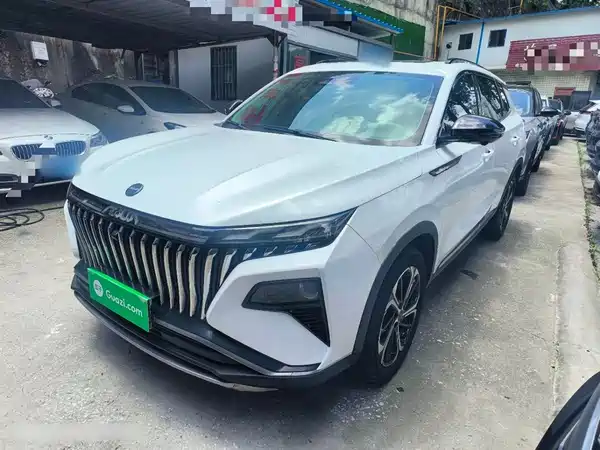 Dongfeng Haoji 2022