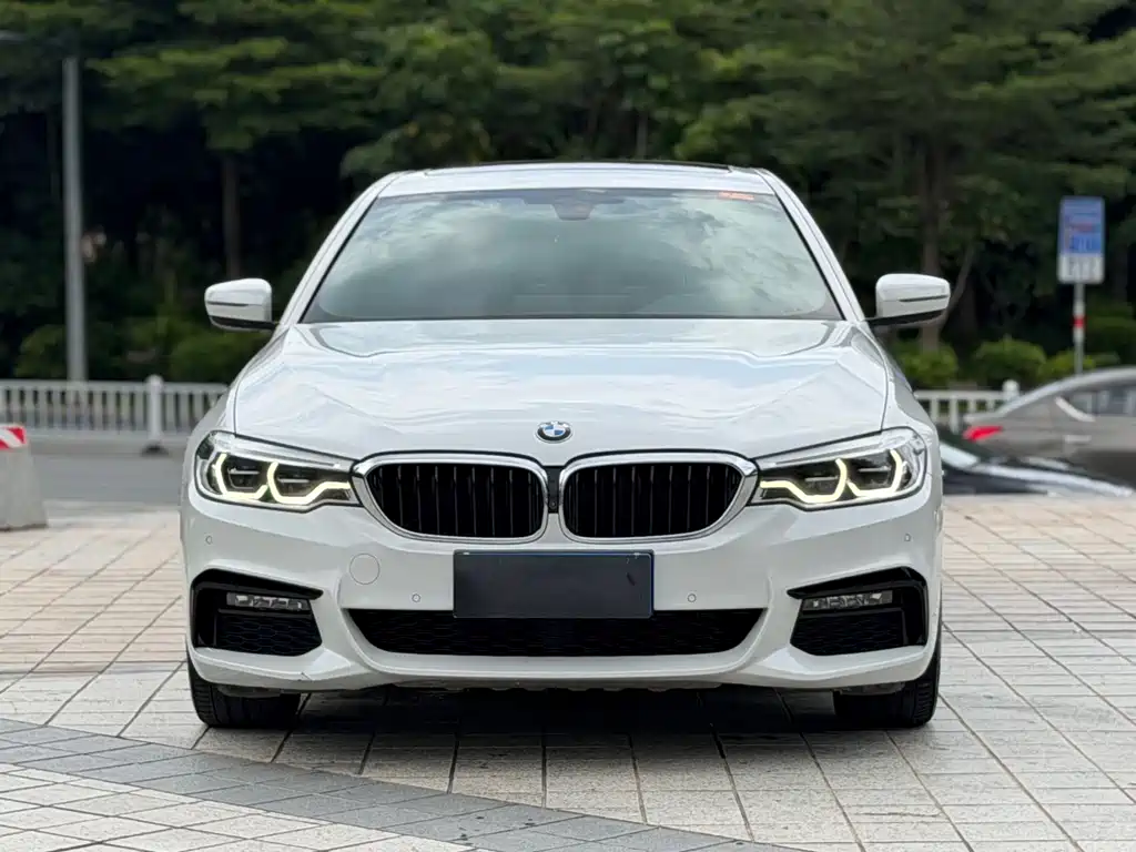 BMW 5 Series 2019
