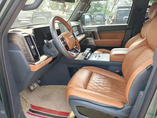 Mengshi 917 2024