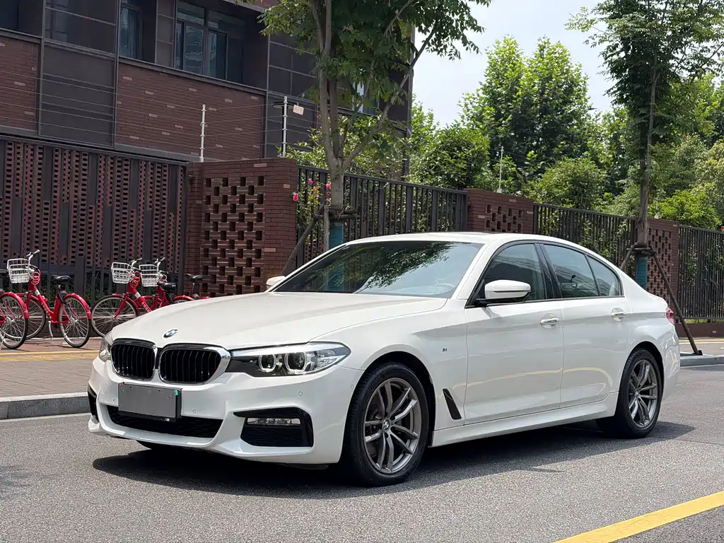 BMW 5 Series 2019
