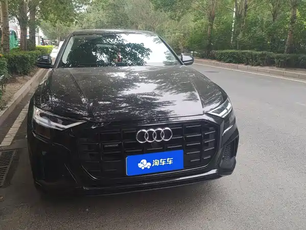 Audi Q8 2021