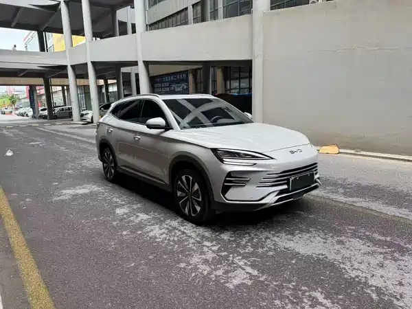 BYD Song PLUS New Energy 2024