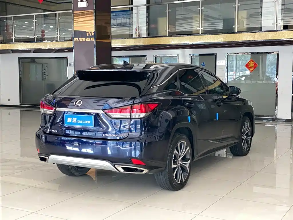 Lexus RX 2022 — фото 8