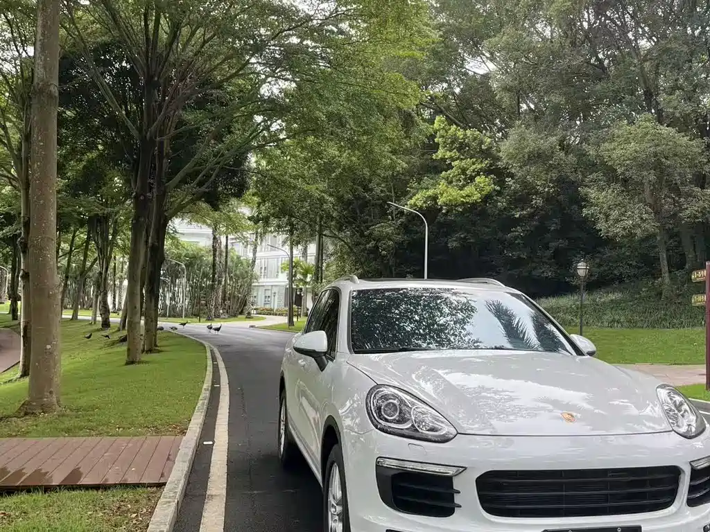 Porsche Cayenne 2015 — фото 3