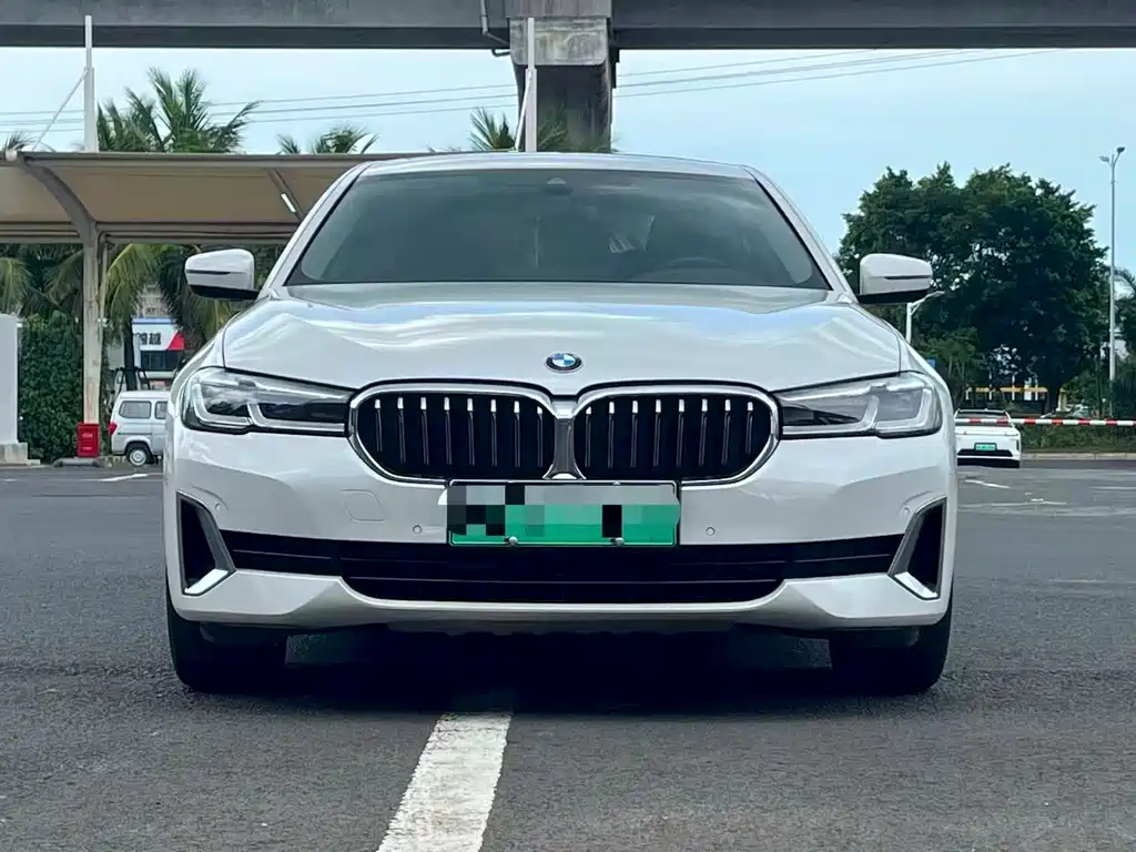 BMW 5 Series New Energy 2021