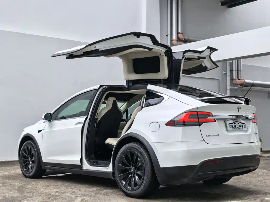 Tesla Model X 2018 — фото 11