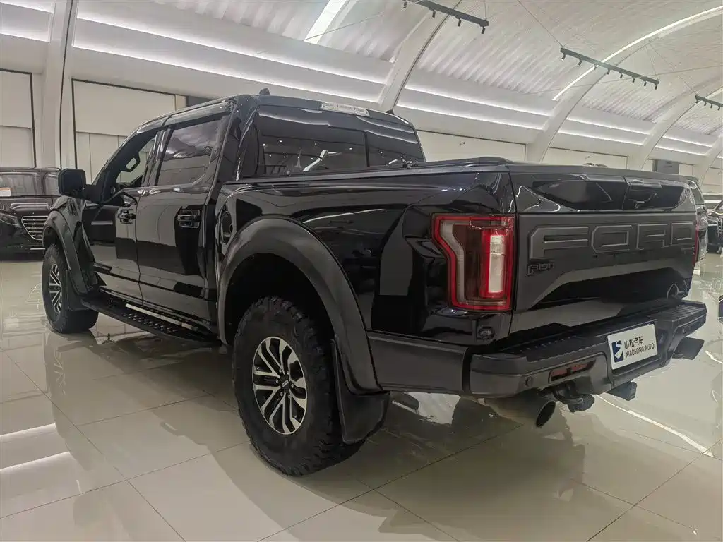 Ford F-150 Raptor 2020 — фото 22