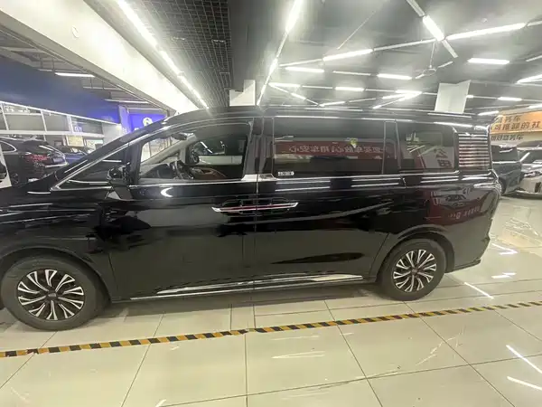 Hongqi HQ9 PHEV 2024