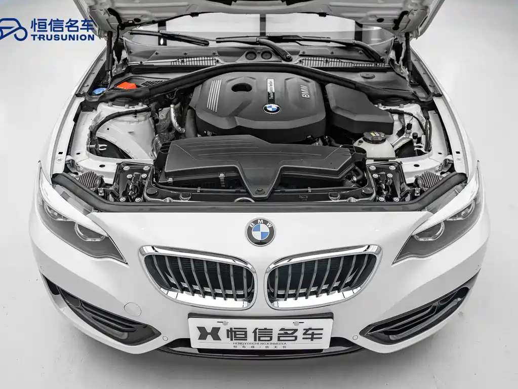BMW 2 Series 2019 — фото 20
