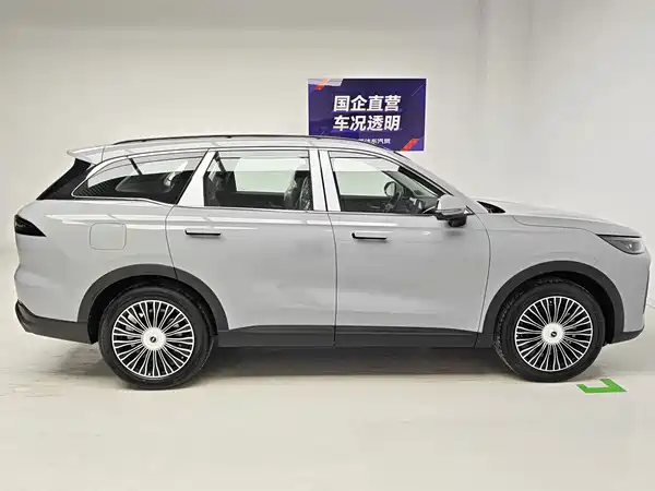 Chery Fengyun T9 2026