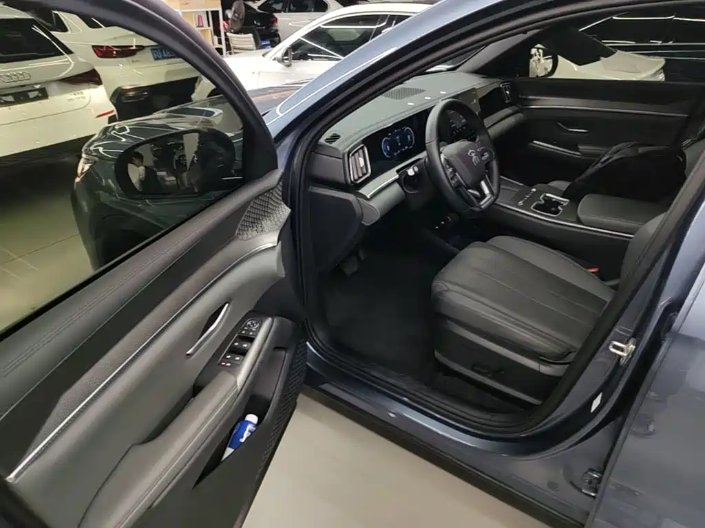 BYD Song Pro New Energy 2026 — фото 12