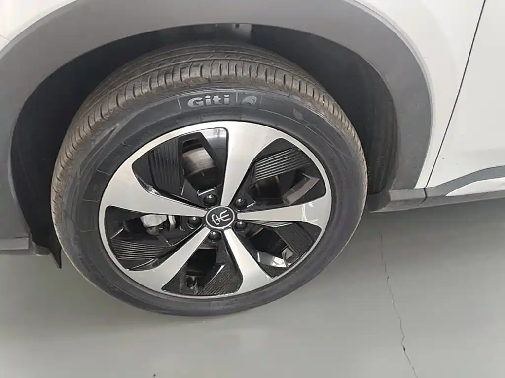 BYD Song PLUS New Energy 2022 — фото 23