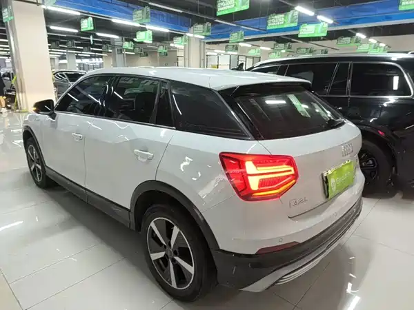 Audi Q2L E-Tron 2020