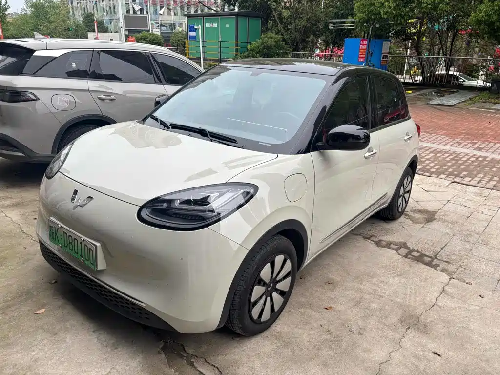 Wuling Bingo 2025