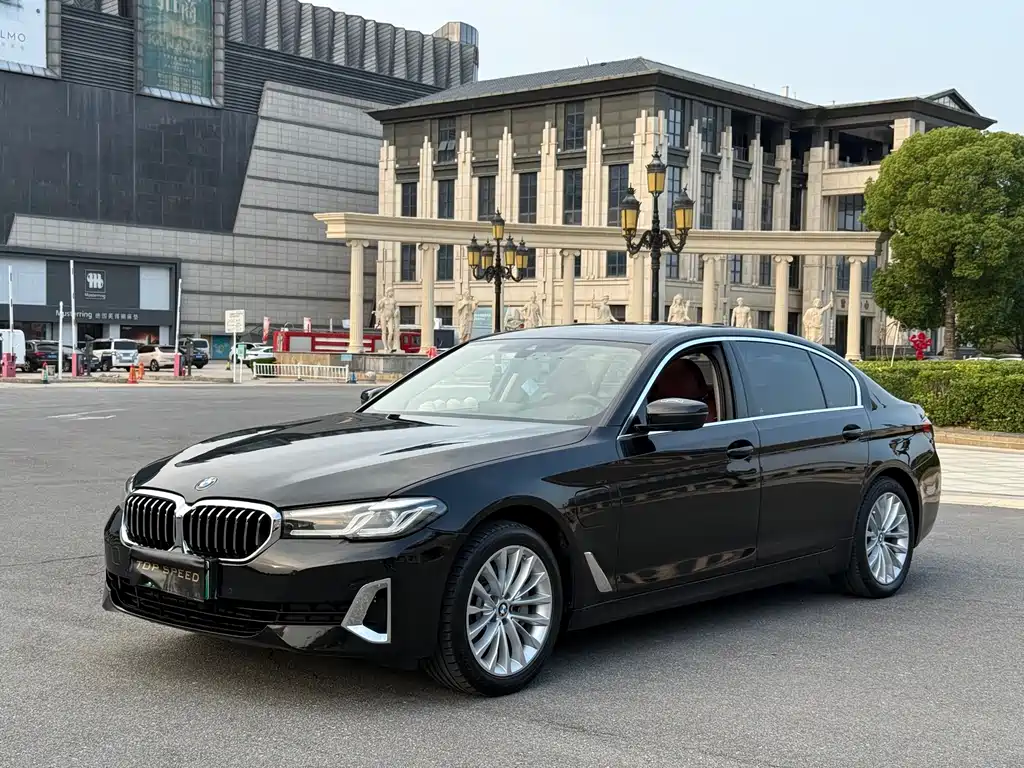 BMW 5 Series New Energy 2020