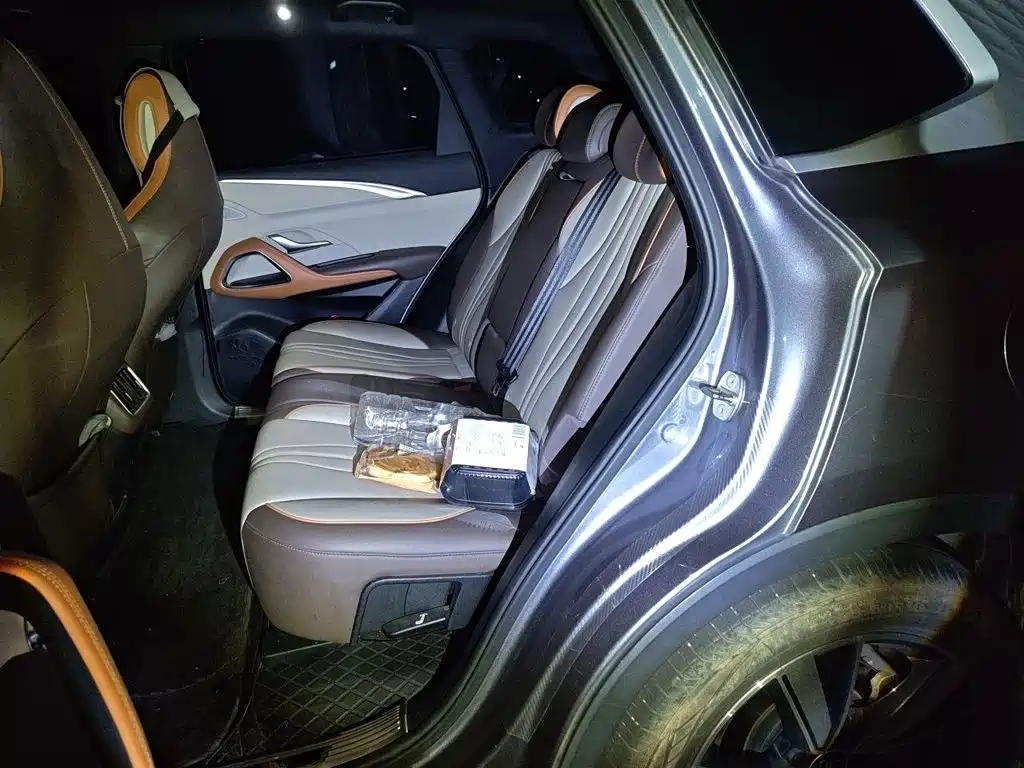 BYD Song Pro New Energy 2022 — фото 15