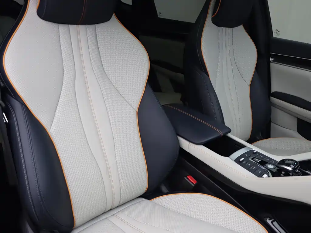 BYD Song PLUS New Energy 2021 — фото 10
