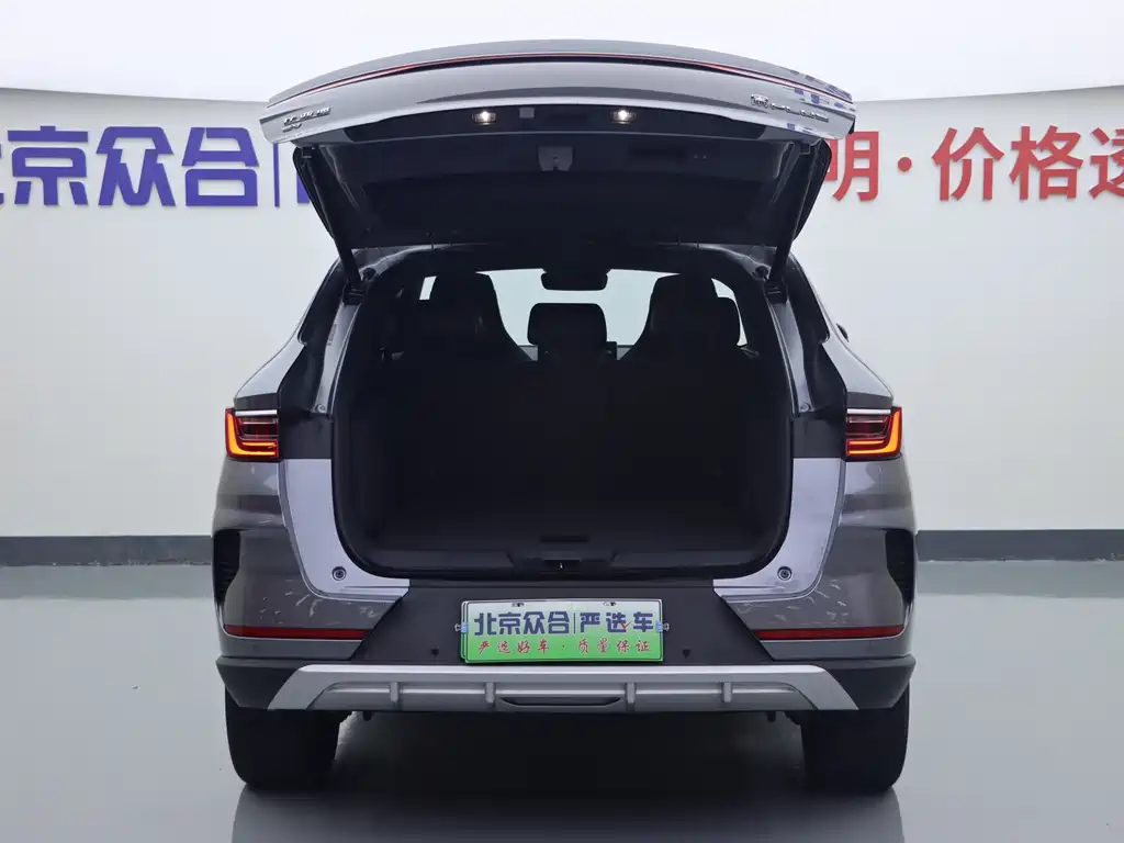 BYD Song PLUS New Energy 2021 — фото 21