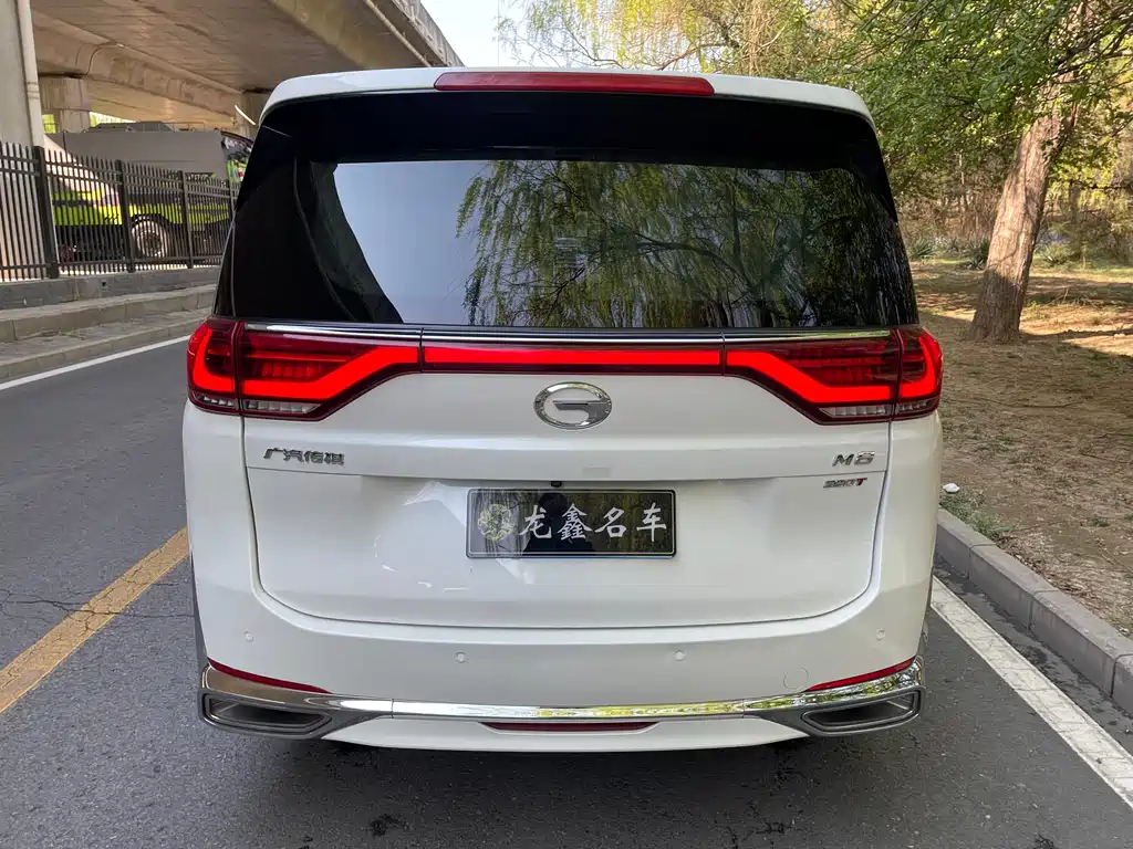 GAC Motor Trumpchi M8 2021 — фото 5