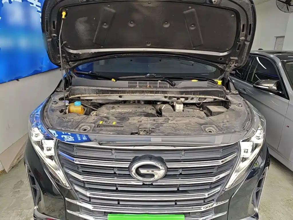 GAC Trumpchi M8 2022 — фото 20