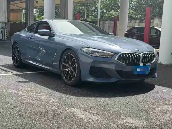 BMW 8 Series 2021