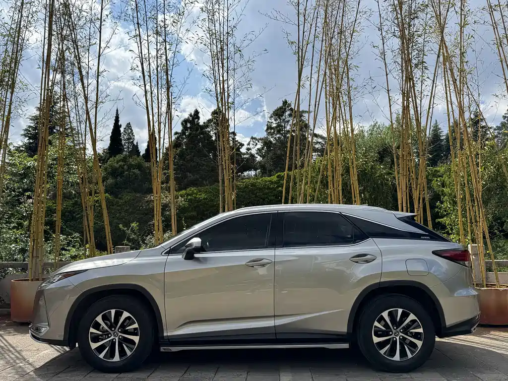 Lexus RX 2022 — фото 7