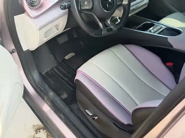 BYD Dolphin 2022