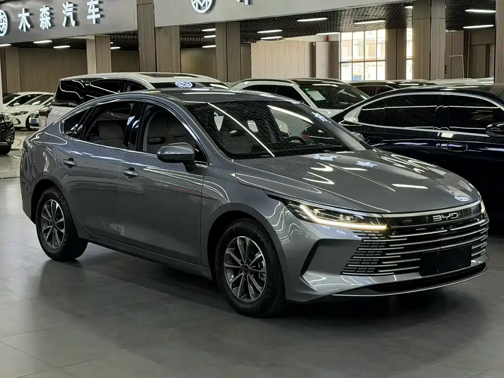 BYD Destroyer 05 2024 — фото 2