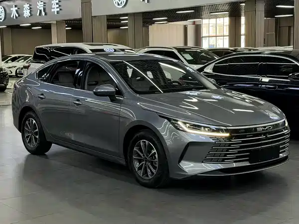 BYD Destroyer 05 2024