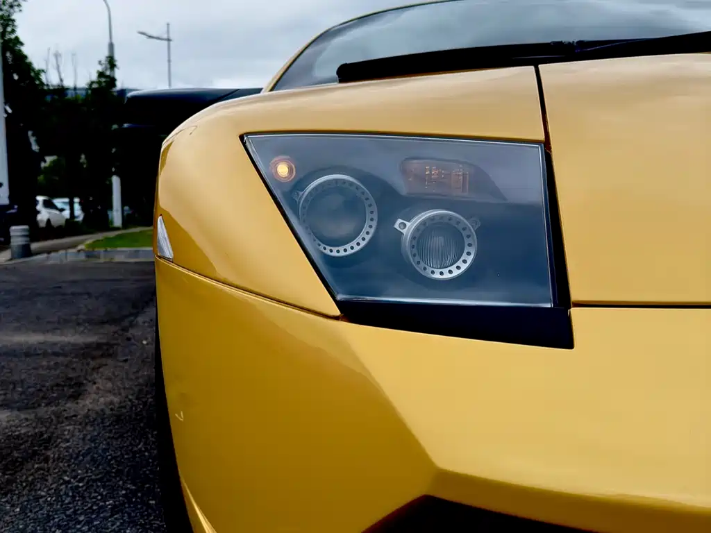 Lamborghini Murcielago 2007 — фото 16