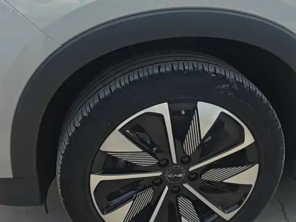 BYD Song PLUS New Energy 2025