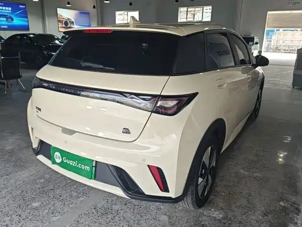 BYD Dolphin 2023