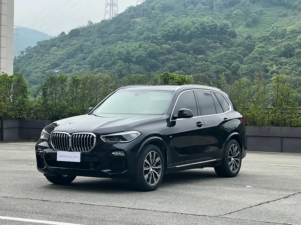 BMW X5 2019