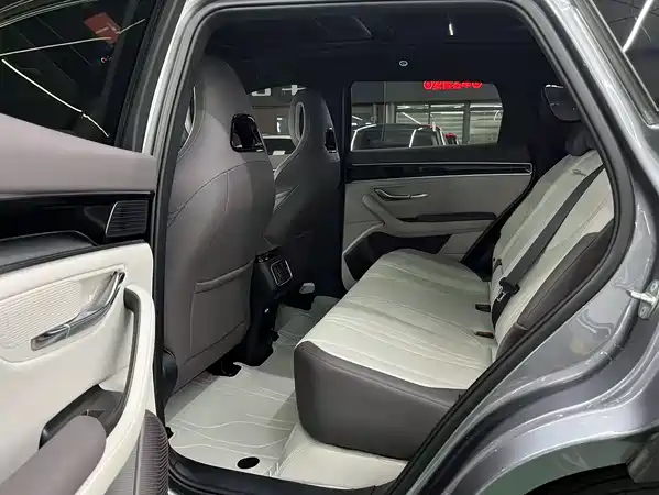 BYD Song PLUS New Energy 2024