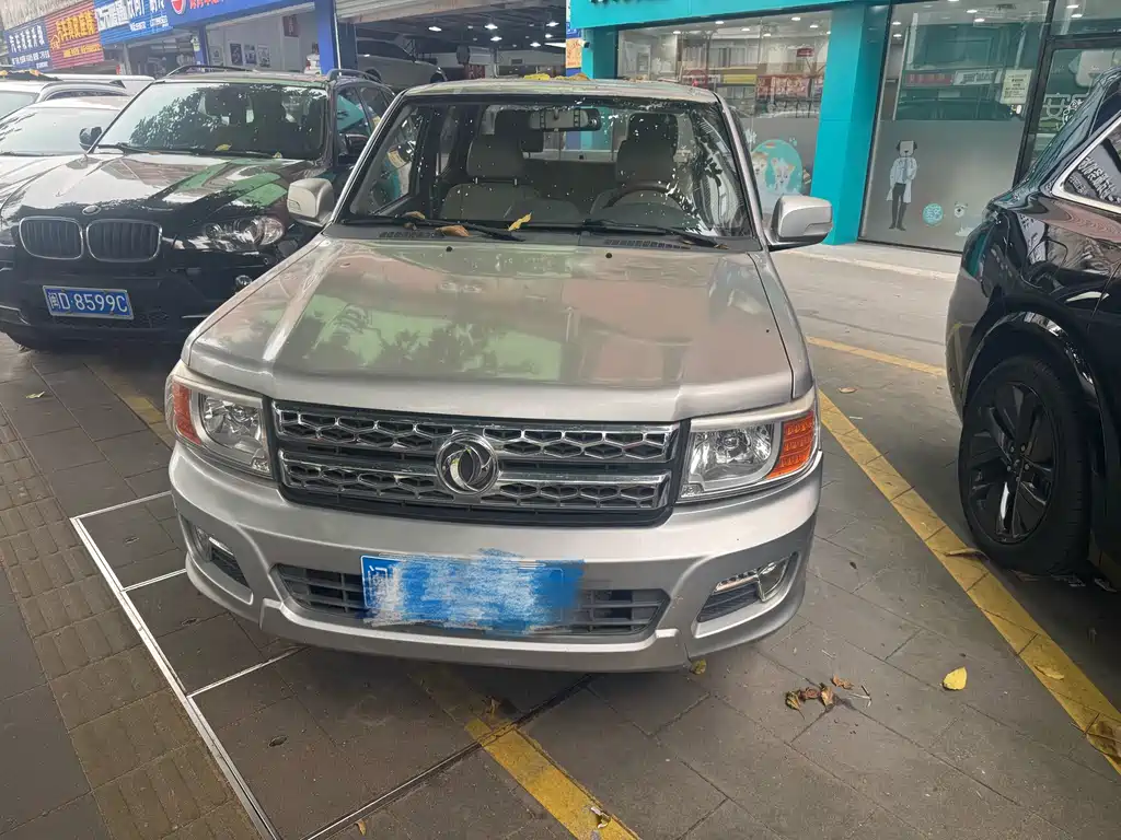 Dongfeng Ruiqi 2016