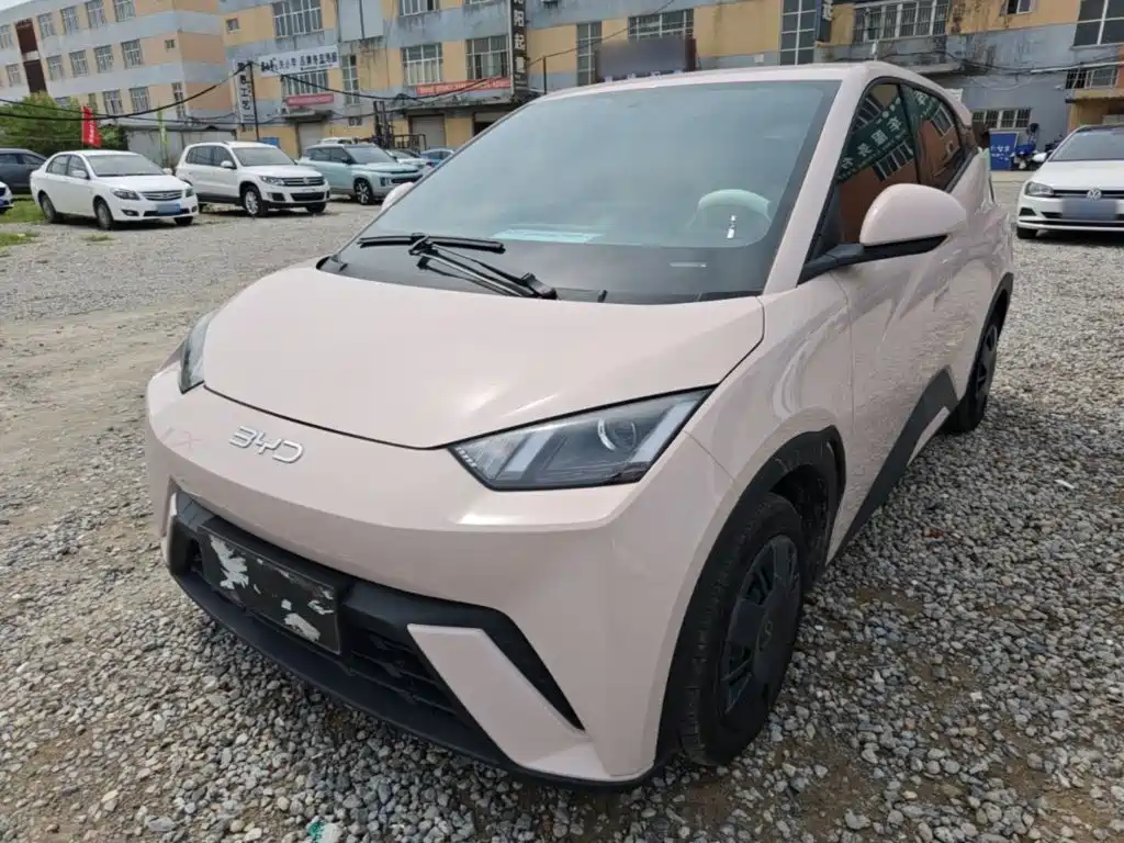 BYD Seagull 2024